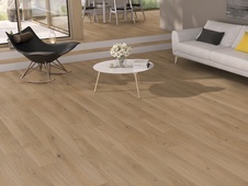 Oyster Rustic Farebný dub, lak, drevená podlaha Weitzer