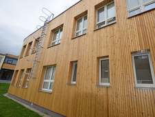 Kanadský smrekovec Rhombus 19x90 mm